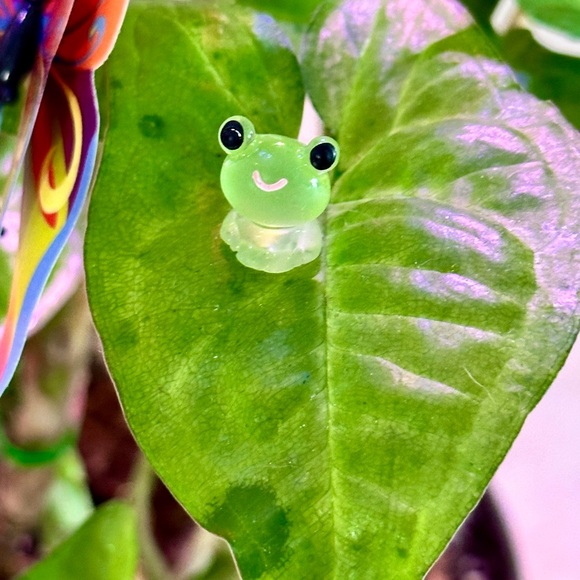 🍃10 pack PLANT MAGNETS!🍃 - Picture 15 of 16